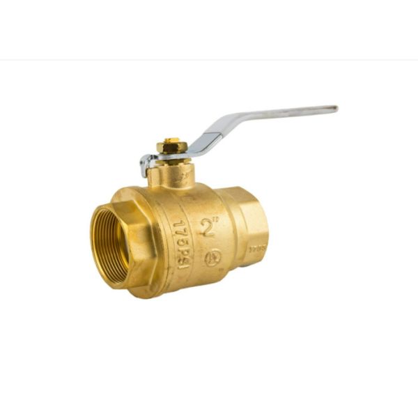 Stainless Steel 304 316L Straight Type Thread BSPT NPT 2 Pieces Ss Ball Valve