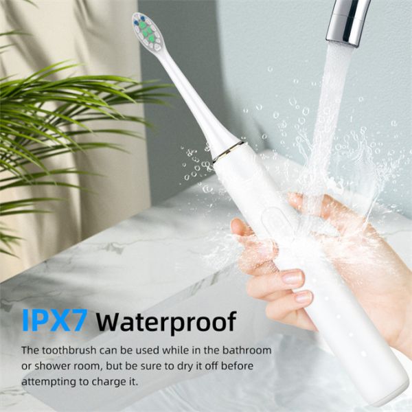 31200VPM IPX7 Adult Electric Toothbrush Oral Care Type-C Rechargeable