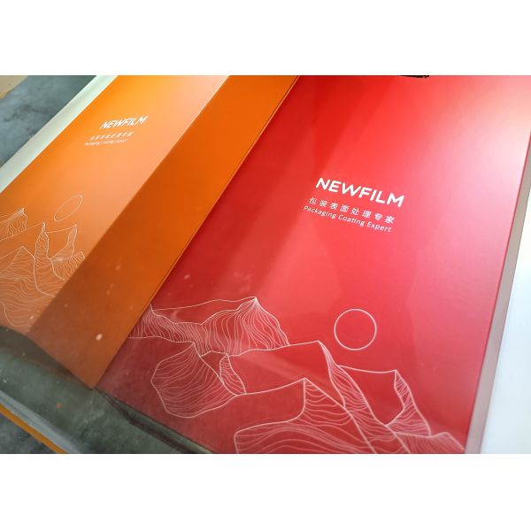 Multi-Layer Industrial-Grade Abrasion-Resistant Polymer Film 720mm Detachable