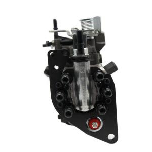 Standard Size Diesel Parts 9521A031H Delphi Fuel Injection Pump