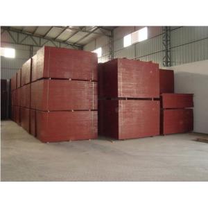 formwork plywood with poplar core