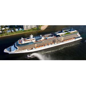 Professional Wooden Model Boats Celebrity Infinity Cruise Ship Shaped , Solid