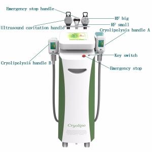 Quality Fat freezing 360 degree criolipolisis 4 handles liposuction belly fat reducing machine for sale