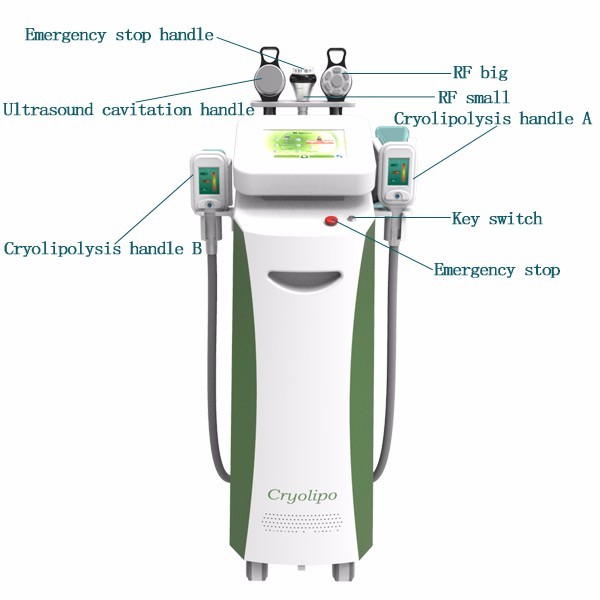 Fat freezing 360 degree criolipolisis 4 handles liposuction belly fat reducing