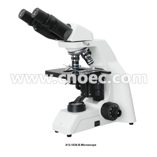 Buy A12.1036 Double Layers Mechanical Stage Biological Compound Microscope With Infintiry Optical System at wholesale prices
