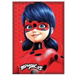 Printing Pattern Polyester Flannel Blanket For Kids Anti Pilling