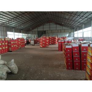 Red Garlic Normal White Garlic Purple Garlic 6.0cm in Carton or Mesh bags