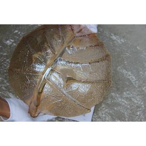 Luxury Crystal Lighting PVD Plating Machine Multi Arc Ion Coating