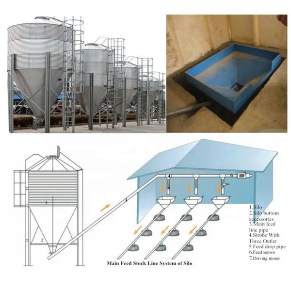 Environment Control Animal Husbandry / Poultry Farm Equipment Automatic Feeding Chicken