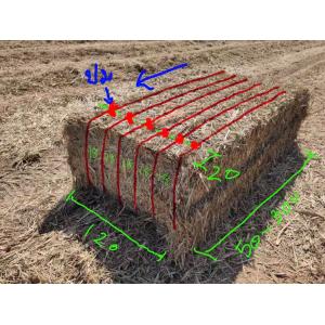 UV Resistant Green Polypropylene Baler Twine With Customized Diameter And Right