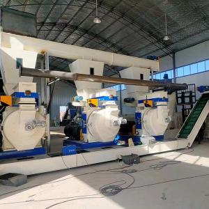 Automatic 10t/h Wood Pellet Plant Machine Manufacture PLC Control