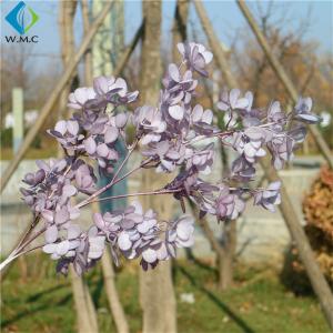 Peanut Leaf Artificial Flower Bouquet Plastic Material For Wedding Scene Setting