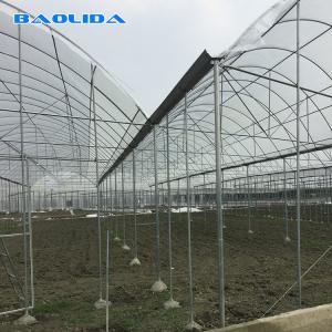 Multispan Plastic Film Greenhouse With Drip Irrigation System Plant Nursery Grow