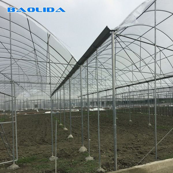 Multispan Plastic Film Greenhouse With Drip Irrigation System Plant Nursery Grow