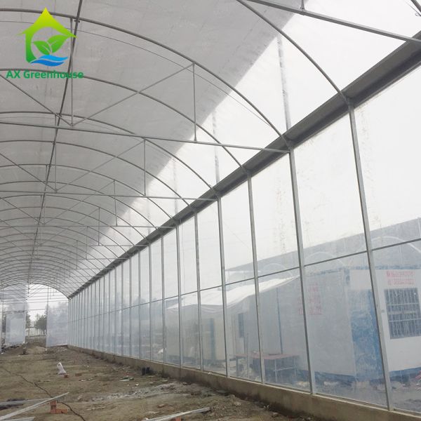 Buy Single Span Commercial Polytunnel Plastic Film Greenhouse Farming at wholesale prices