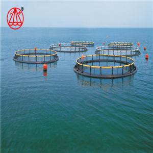 China Imported Polythene Floating Fish Cage High Strength Anti Aging For Marine Use on sale