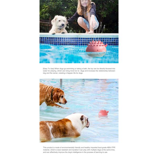 Hot Sale New Little Crocodile Spray Toy Water Dog Toy For Summer Dogs