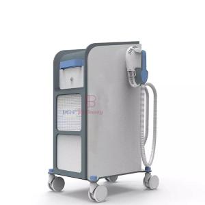 Electric Muscle Stimulation EMS EMShapeing Machine Weight Loss Fat Burn