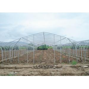 150Micron Single Span Greenhouse Customizable Plastic Film Greenhouse