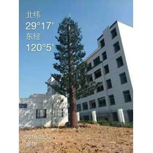 Longlife 50m Camouflaged Cell Phone Tower Tree