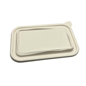 Thermoforming Biodegradable Plastic Sheet Polylactic PLA Disposable Food