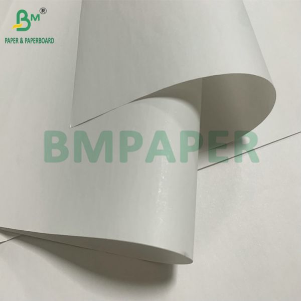 High Bulk 65gsm Thermal POS Paper For Receipt Printing High Clarity High Bulk 65gsm Thermal POS Paper For Receipt Printing High Clarity