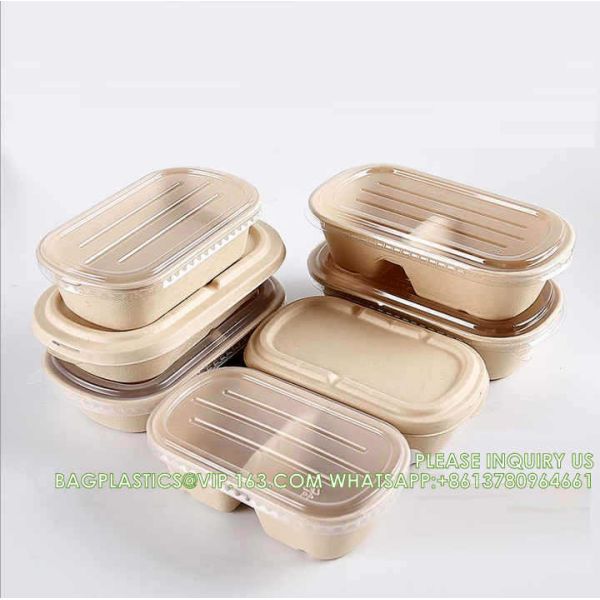 Wholesale Sugarcane Bagasse Pulp Lunch Box Takeaway Food Container Diaposiable
