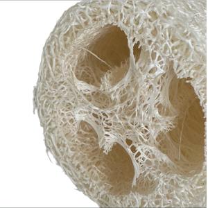 China Natural Cucumber Pulp Dishwashing Brush Effective Easy To For Kitchen Cleaning on sale