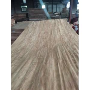 sell Dillenia face veneer