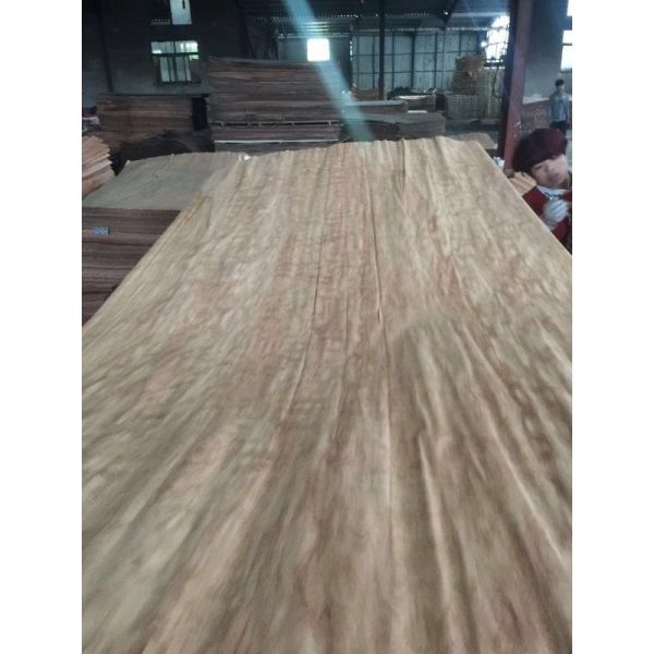 Buy sell Dillenia face veneer at wholesale prices