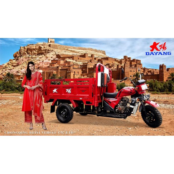 250cc Engine Chinese 3 Wheeler Cargo Motorcycle with Two Seats and Chassis 50*100