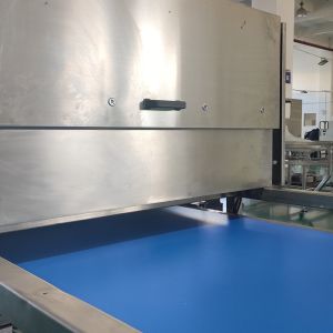 Wolfberry Sorting Machine with Advanced Imaging and Spectroscopy Technology