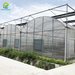 Hot Galvanized Steel Plastic Film Greenhouse For Agricultural