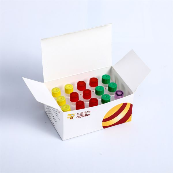 High Quality Second Generation Sequencing Library Building Reagent K001S-A,