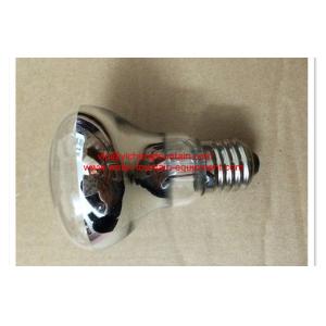 Niche Underwater Swimming Pool Lights R63 100W Halogen Bulb