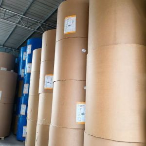 Factory Supply Custom PE Coated Paper Food Grade Paper Roll for Jumbo Roll and