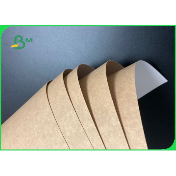 Food Grade & Greaseproof PE Coated Kraft Paper For Pakaging Fast Food 300g 325g