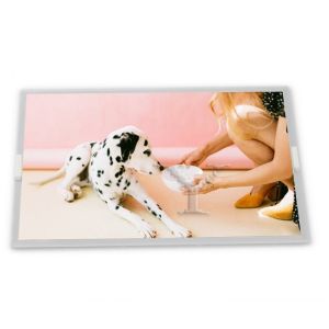 LM190E0A-SLA1 19 Inch 1280*1024 Lcd Panel