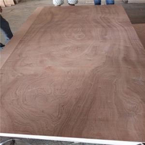 Environmentally WBP Phenolic 12mm Sapele Faced Plywood