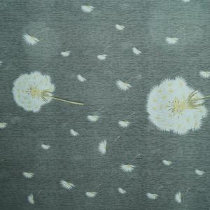 43D Yarn Brushed Polyester Fabric