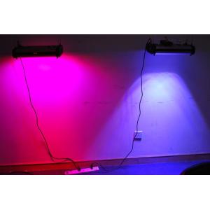 China PT Cidly 300 watt led grow light hydroponics growing lamp on sale