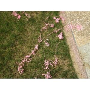 PLYFIT Silly String Spray Party Birthday Wedding Celebration Mixed Color