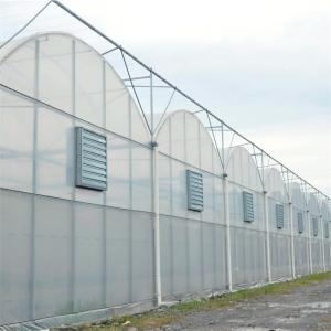 Polyethylene Plastic Film Multi Span Greenhouse With Automatic Water Irrigation