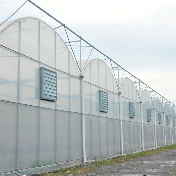 Round Tunnel Plastic Sheet Hydroponic Multi Span Greenhouse For Flowers Planting
