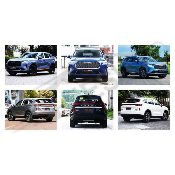 2022 Haval H1 H2 H5 H6 H9 F7 Electric Car with Maximum Torque of 530 N.m in Red/Blue