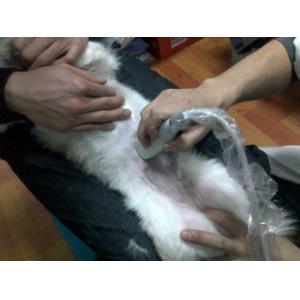 Integrated Design Derma Stamp Pen Titanium 25pins Microneedling Therapy System