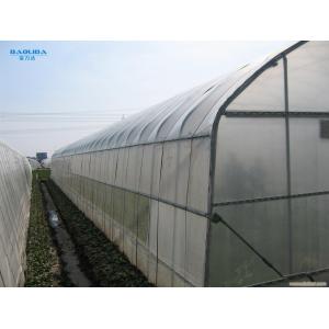 Tunnel Single Span Greenhouse For Vegetables Growing Agricultural Farming