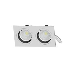 2*10W High Efficiency Double Head 190 Degree AdjustableLed Spotlight