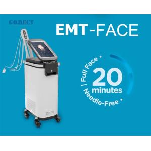 Face Lifting EMS Sculpting Machine 50Hz 60Hz With 3 Handles