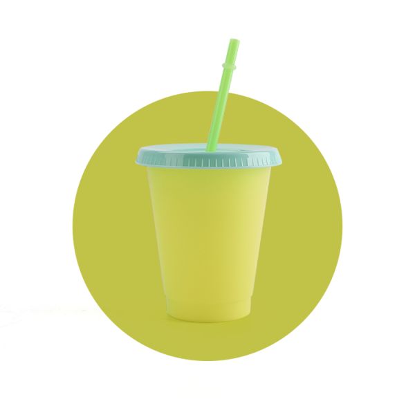 10 Oz Insulated Vacuum Tumbler Mug PP Cold Color Changing Party Cups Set 5pcs/Sets Juice Mugs